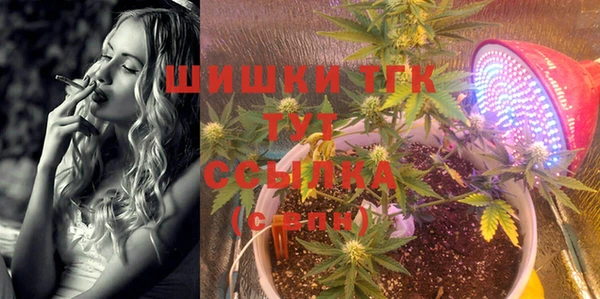spice Горнозаводск