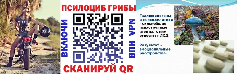 Псилоцибиновые грибы Psilocybine cubensis  Купить где  Серафимович 