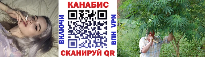 Купить закладки Серафимович Бошки Шишки SATIVA & INDICA
